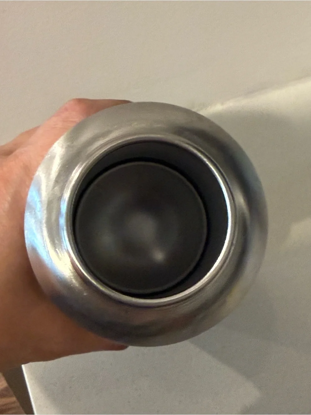pupflask portable dog
